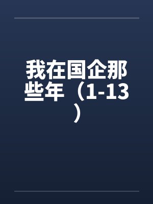 我在国企那些年（1-13）封面