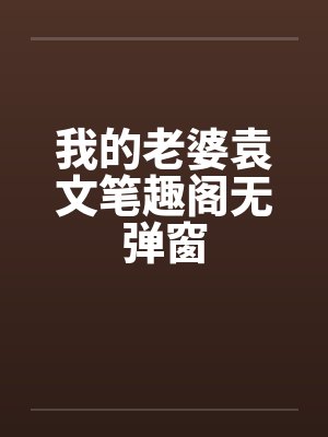 我的老婆袁文笔趣阁无弹窗封面