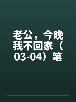 老公，今晚我不回家（03-04）笔趣阁无弹窗封面