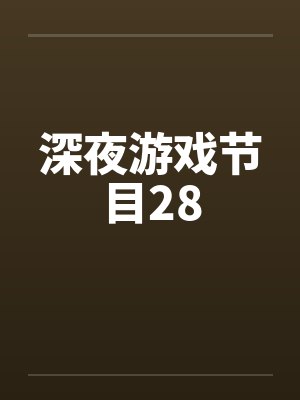 深夜游戏节目28封面