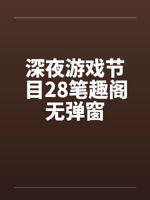 深夜游戏节目28笔趣阁无弹窗封面
