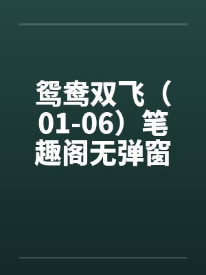 鸳鸯双飞（01-06）笔趣阁无弹窗封面