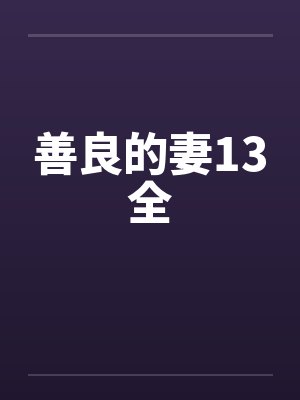 善良的妻13全封面