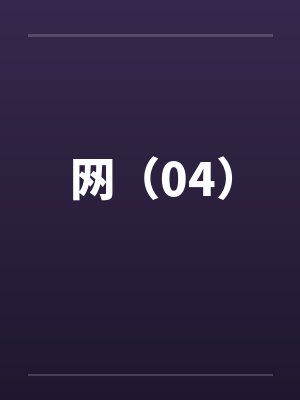 网（04）封面