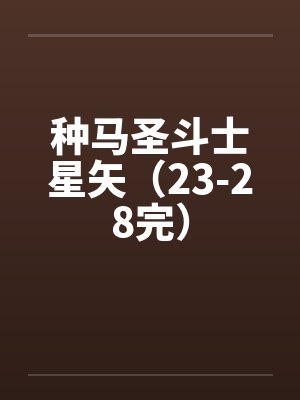 种马圣斗士星矢（23-28完）封面