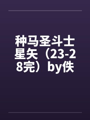 种马圣斗士星矢（23-28完）by佚名封面