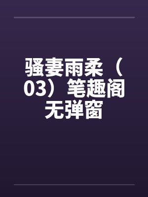 骚妻雨柔（03）笔趣阁无弹窗封面
