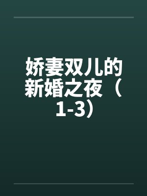 娇妻双儿的新婚之夜（1-3）封面