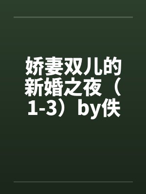 娇妻双儿的新婚之夜（1-3）by佚名封面