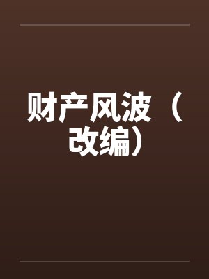 财产风波（改编）封面