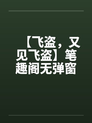 【飞盗，又见飞盗】笔趣阁无弹窗封面