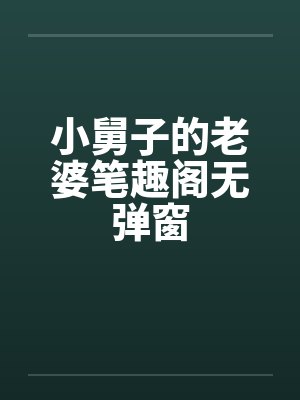 小舅子的老婆笔趣阁无弹窗封面