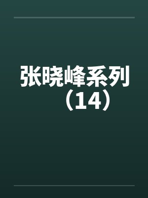 张晓峰系列（14）封面
