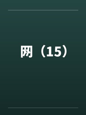 网（15）封面