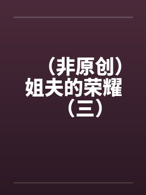 （非原创）姐夫的荣耀（三）封面