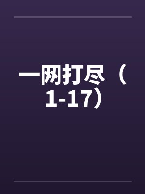 一网打尽（1-17）封面