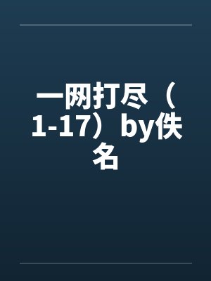 一网打尽（1-17）by佚名封面