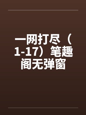 一网打尽（1-17）笔趣阁无弹窗封面