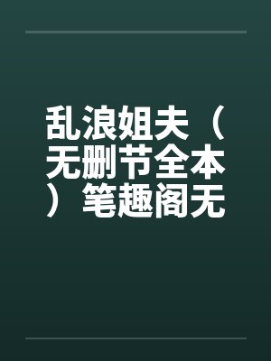 乱浪姐夫（无删节全本）笔趣阁无弹窗封面