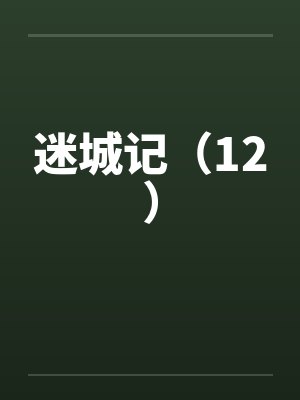 迷城记（12）封面