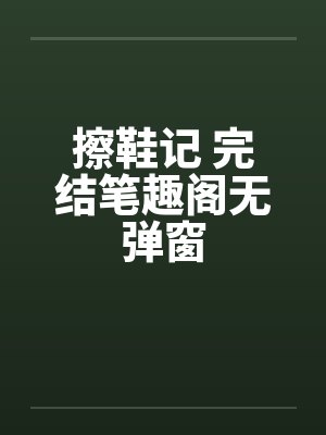 擦鞋记 完结笔趣阁无弹窗封面