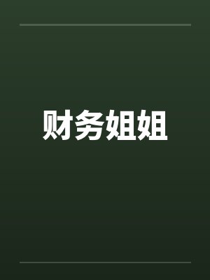 财务姐姐封面