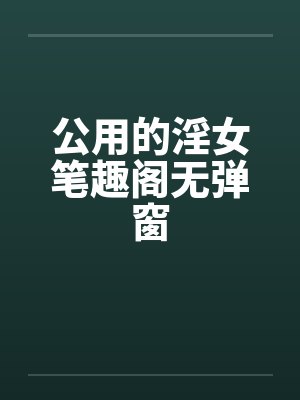 公用的淫女笔趣阁无弹窗封面