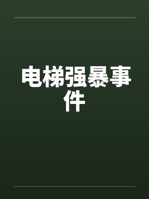 电梯强暴事件封面