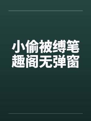 小偷被缚笔趣阁无弹窗封面