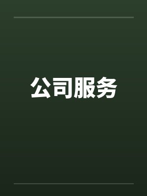 公司服务封面