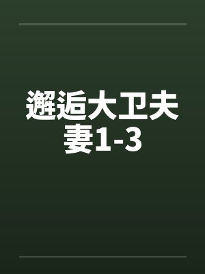 邂逅大卫夫妻1-3封面