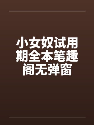 小女奴试用期全本笔趣阁无弹窗封面