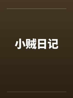 小贼日记封面