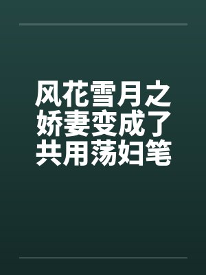风花雪月之娇妻变成了共用荡妇笔趣阁无弹窗封面
