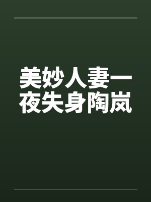 美妙人妻一夜失身陶岚封面