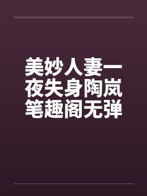 美妙人妻一夜失身陶岚笔趣阁无弹窗封面