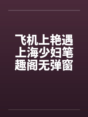 飞机上艳遇上海少妇笔趣阁无弹窗封面