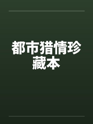 都市猎情珍藏本封面