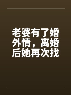 老婆有了婚外情，离婚后她再次找到我封面
