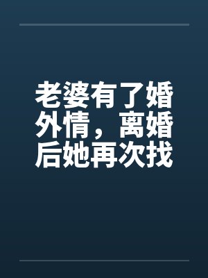 老婆有了婚外情，离婚后她再次找到我笔趣阁无弹窗封面