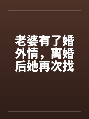 老婆有了婚外情，离婚后她再次找到我by佚名笔趣阁无弹窗封面