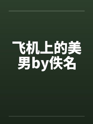 飞机上的美男by佚名封面