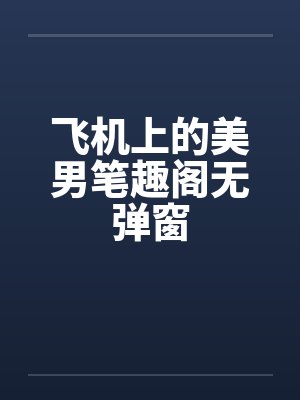 飞机上的美男笔趣阁无弹窗封面